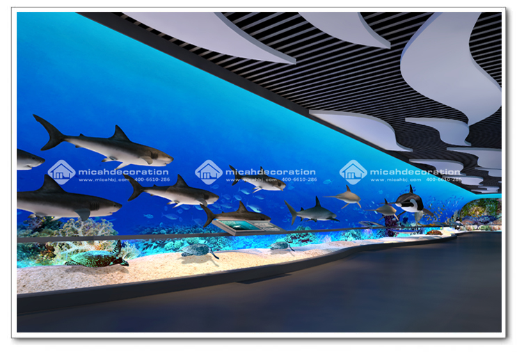 海洋館3.jpg